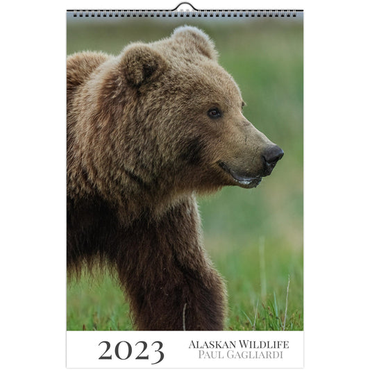 2023 Calendar - Alaskan Wildlife Photography by Paul Gagliardi